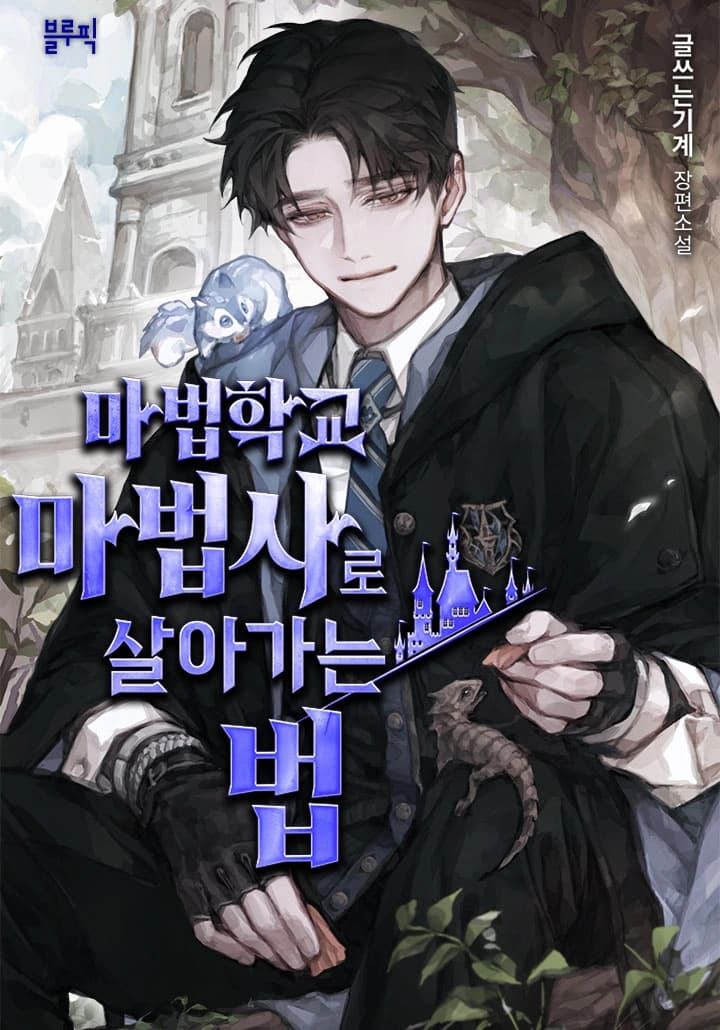 Life of a Magic Academy Mage