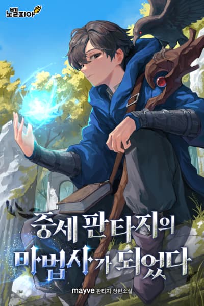 The Absurd Adventures of a Medieval Mage