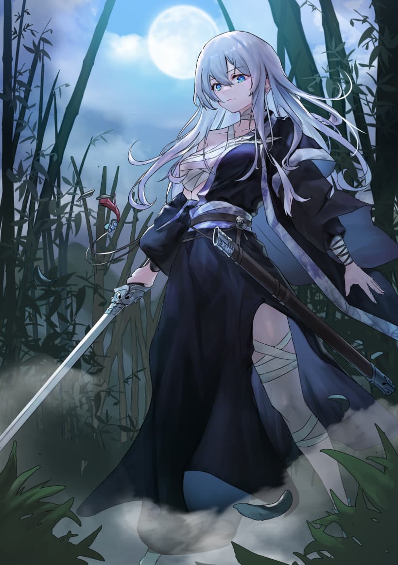 Disciple of the Sword Empress