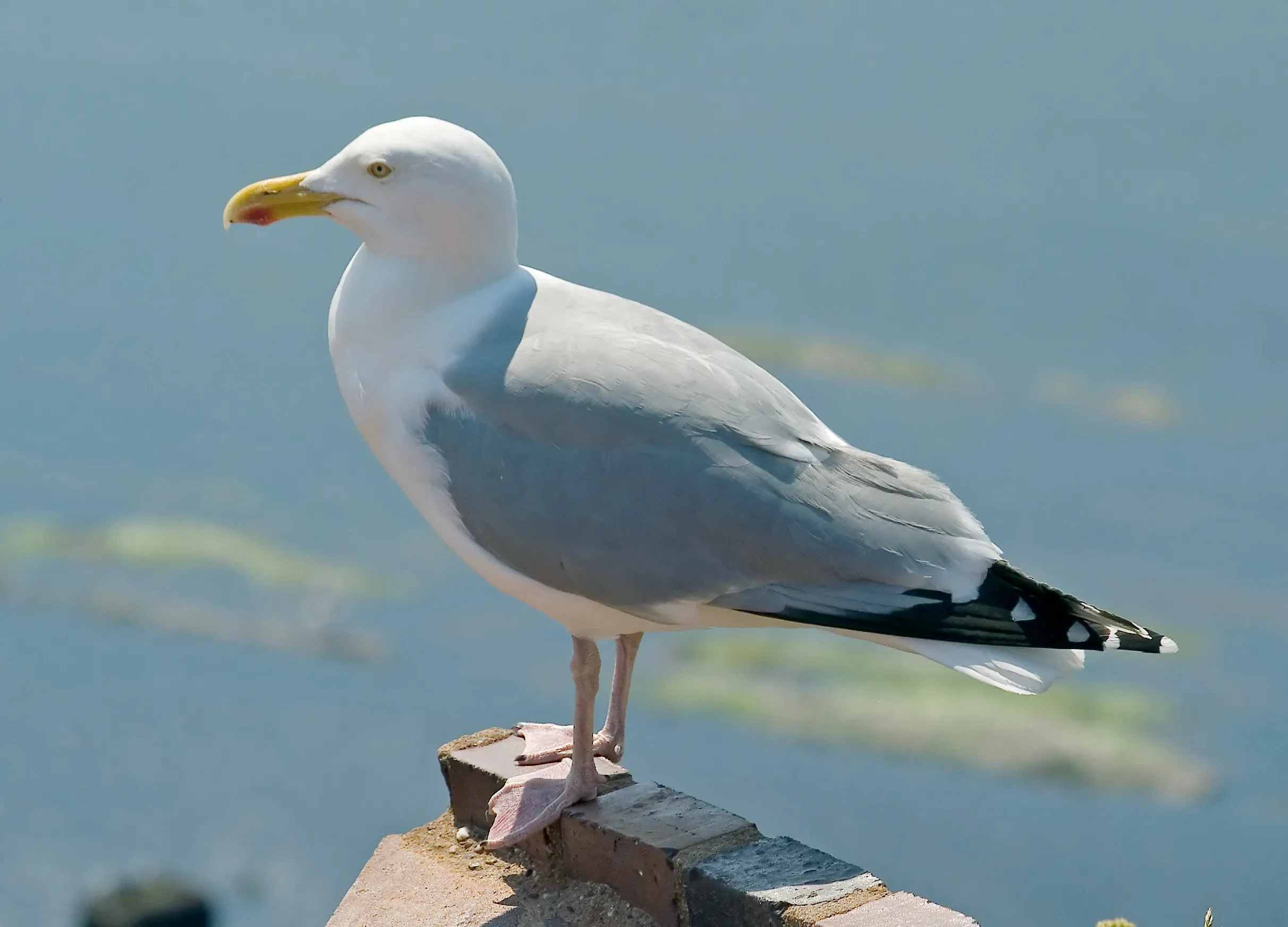 187