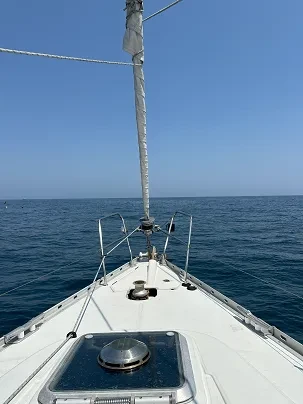 31